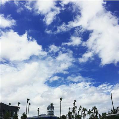 乐鱼app登录入口手机app下载